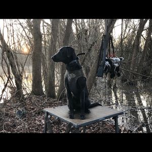 Meet your Posher, Tyler